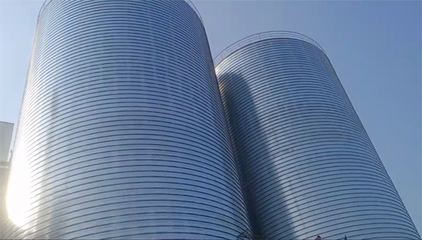 岳普湖2座混凝土高架卷板仓